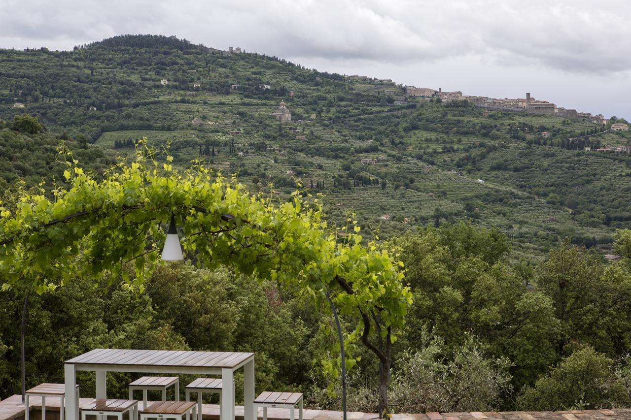 Villa Pomona كورتونا المظهر الخارجي الصورة
